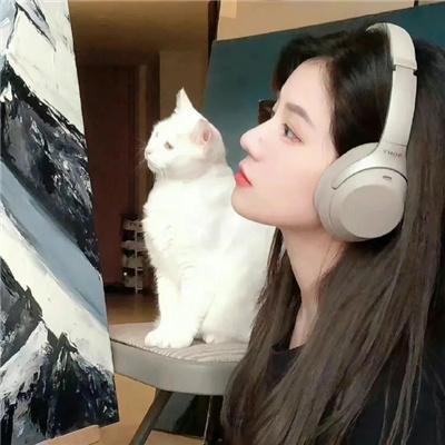 性爱调查